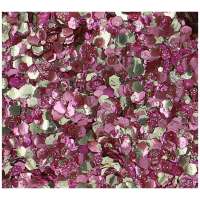 ROSE PETALS Biodegradableglitter Chunky Mix