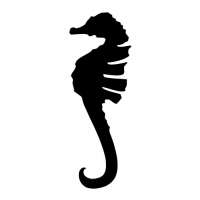 Seahorse