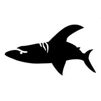 Shark