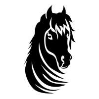 Horse Beauty