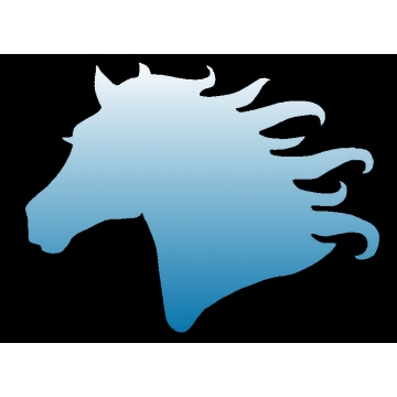 21703 Horse Profile