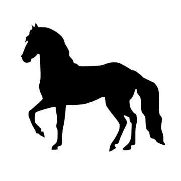 21701 Mustang
