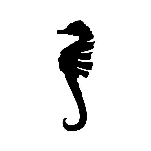 Seahorse