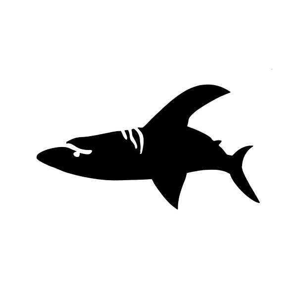 Shark