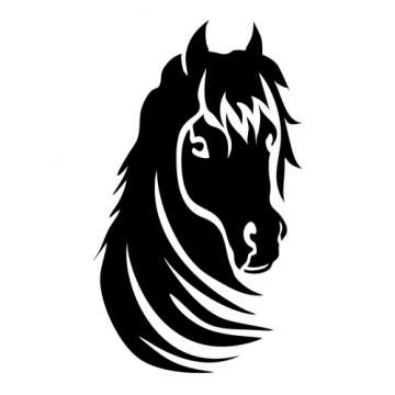 Horse Beauty