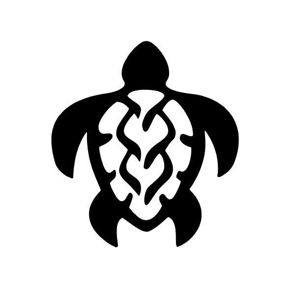 76200 Hawaii Turtle
