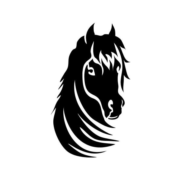 Horse Beauty